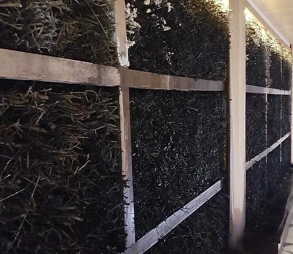 アパート Prywatny 327 W Diune コウォブジェク